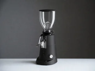Fiorenzato F5 D profesionalni mlin za maloprodaju